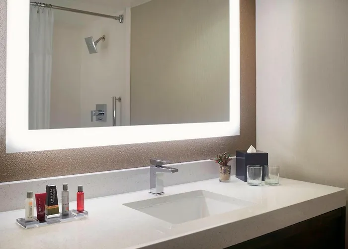 Hotel Chicago Marriott Southwest At Burr Ridge